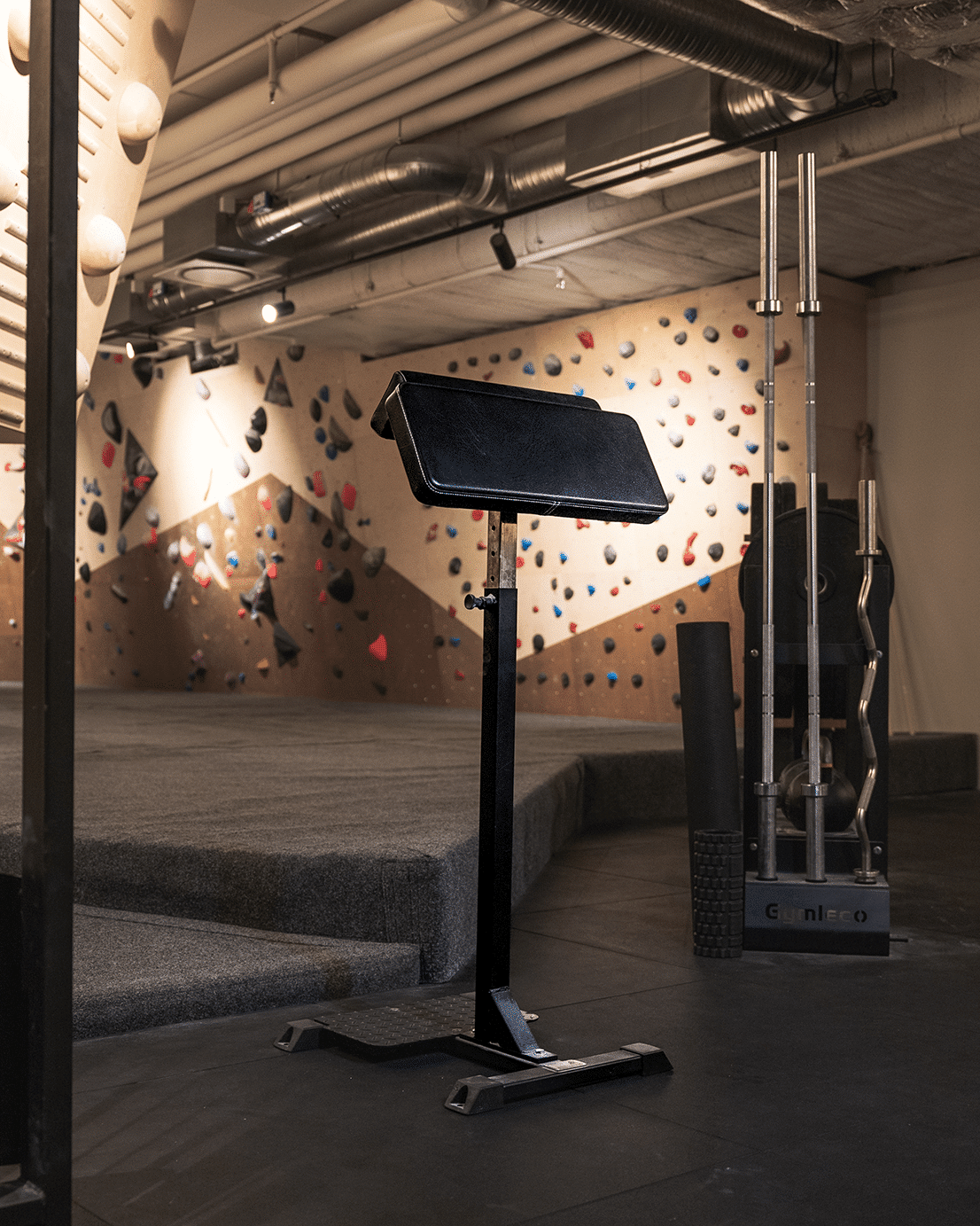 Gymleco Standing Scott Curl Bench preacher curl stående