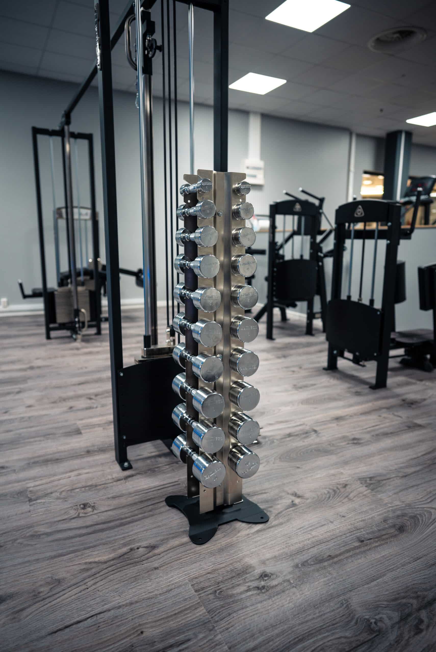 Gymleco Chrome Dumbbells manualsett 1-10 kg krom
