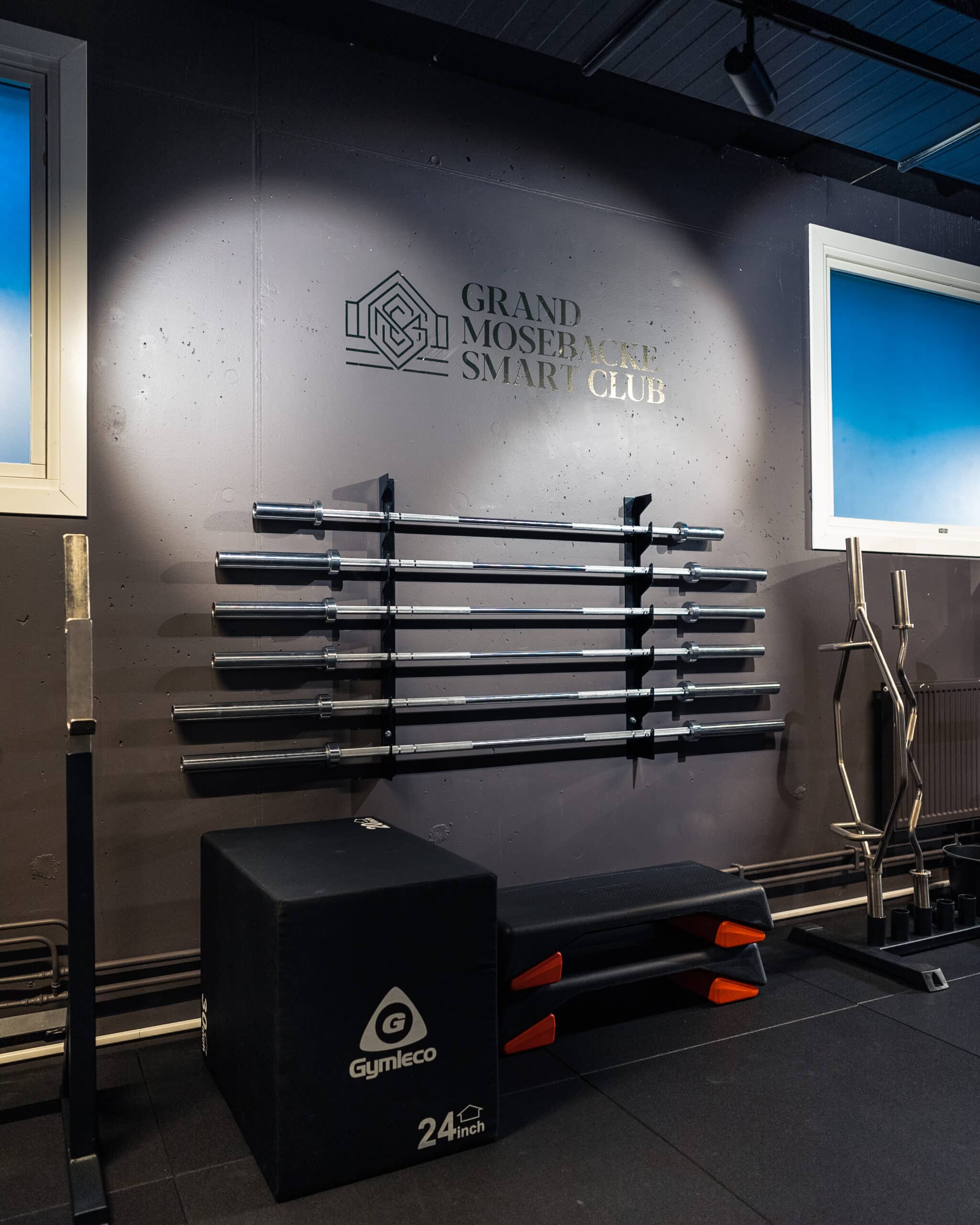 Gymleco Wall Mounted Barbell Rack 6 stenger