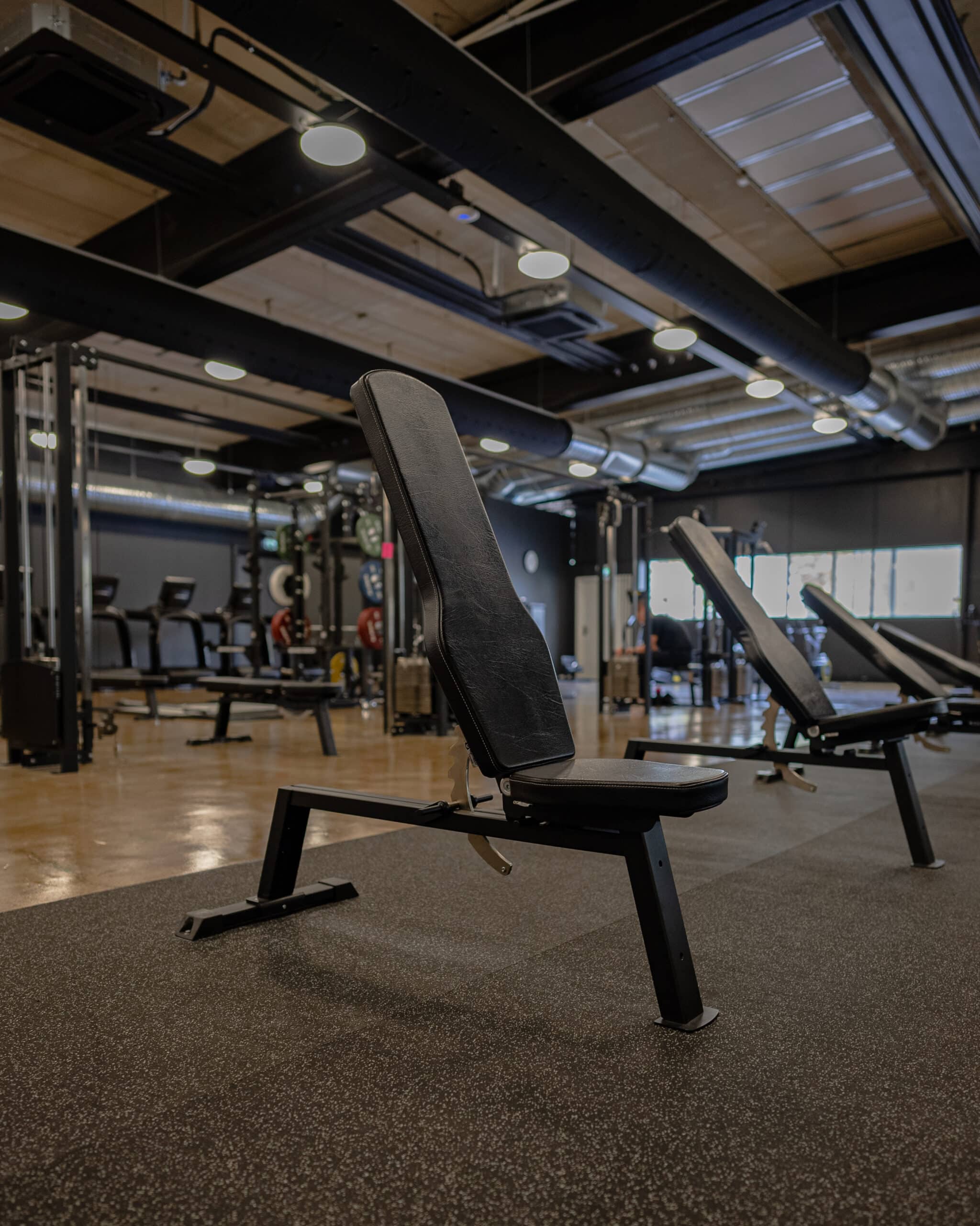 Gymleco Adjustable treningsbenk justerbar skraa flat