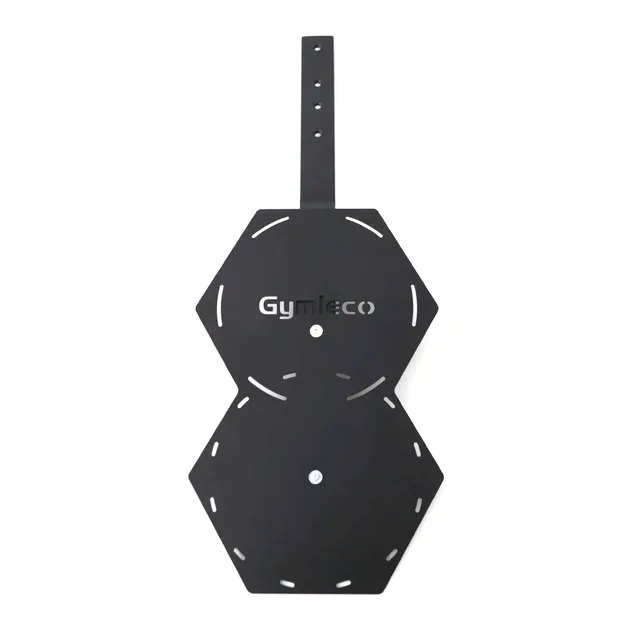 Gymleco Wall Ball Target blink vegg rigg