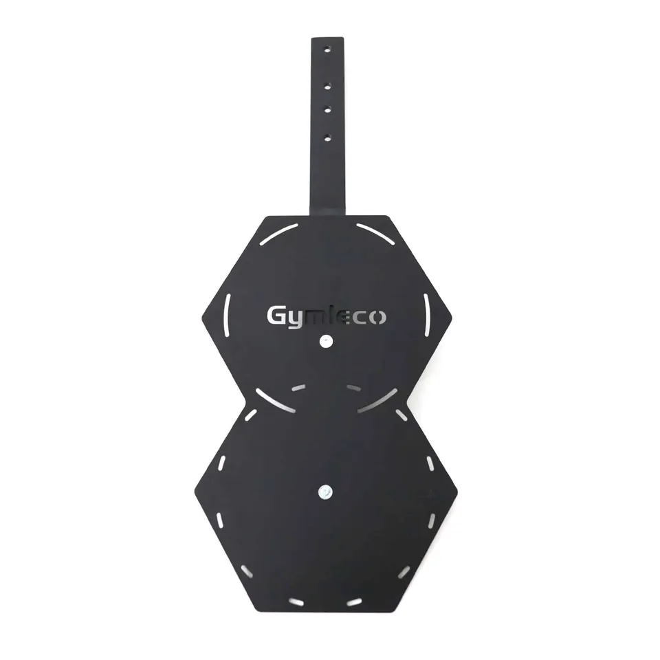 Gymleco Wall Ball Target blink vegg rigg
