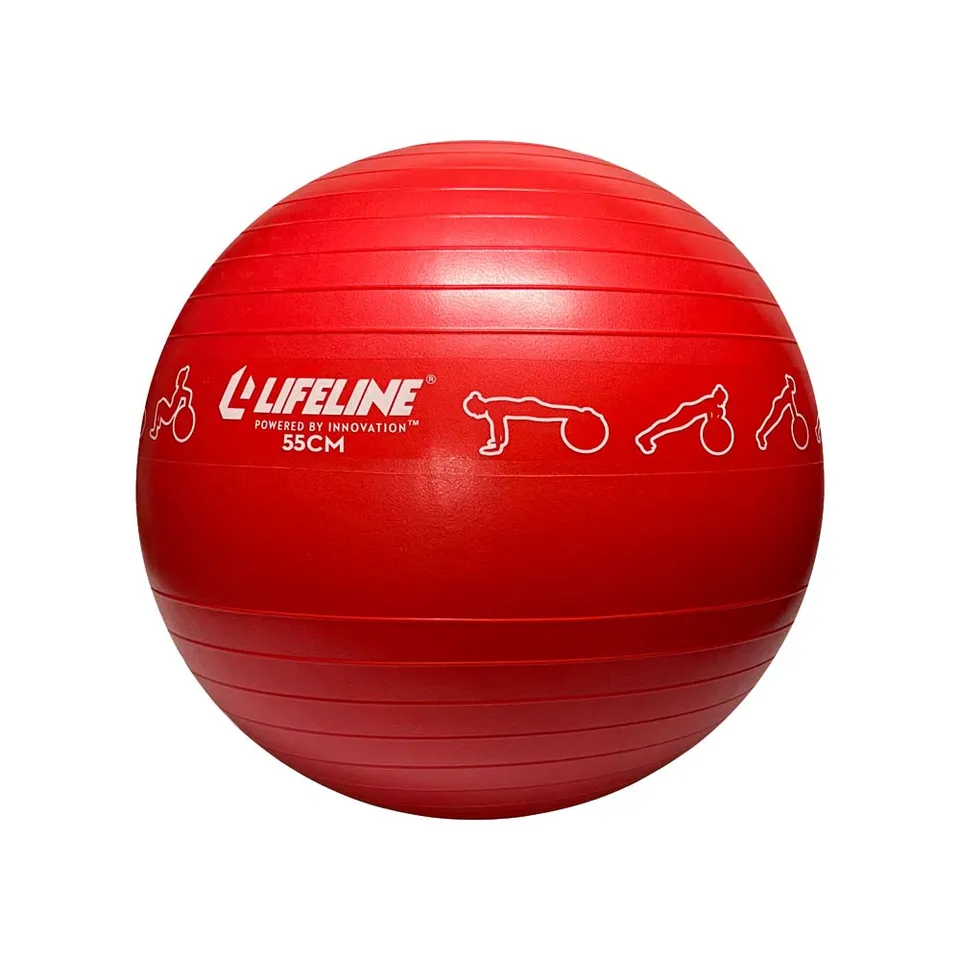 Lifeline Exercise treningsball 65 cm