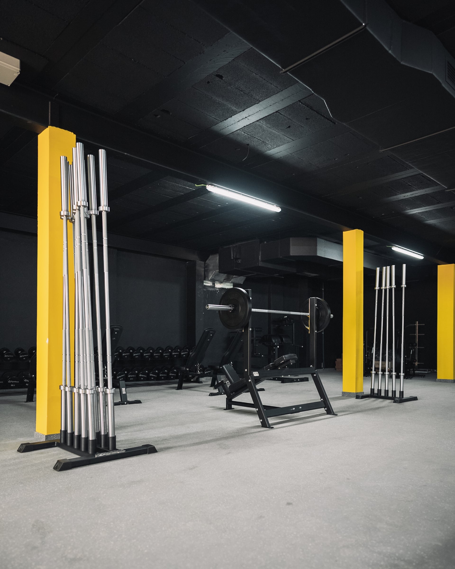 Gymleco Barbell Rack 10 Places skivstangstativ stående