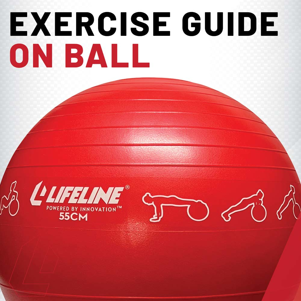 Lifeline Exercise treningsball 65 cm