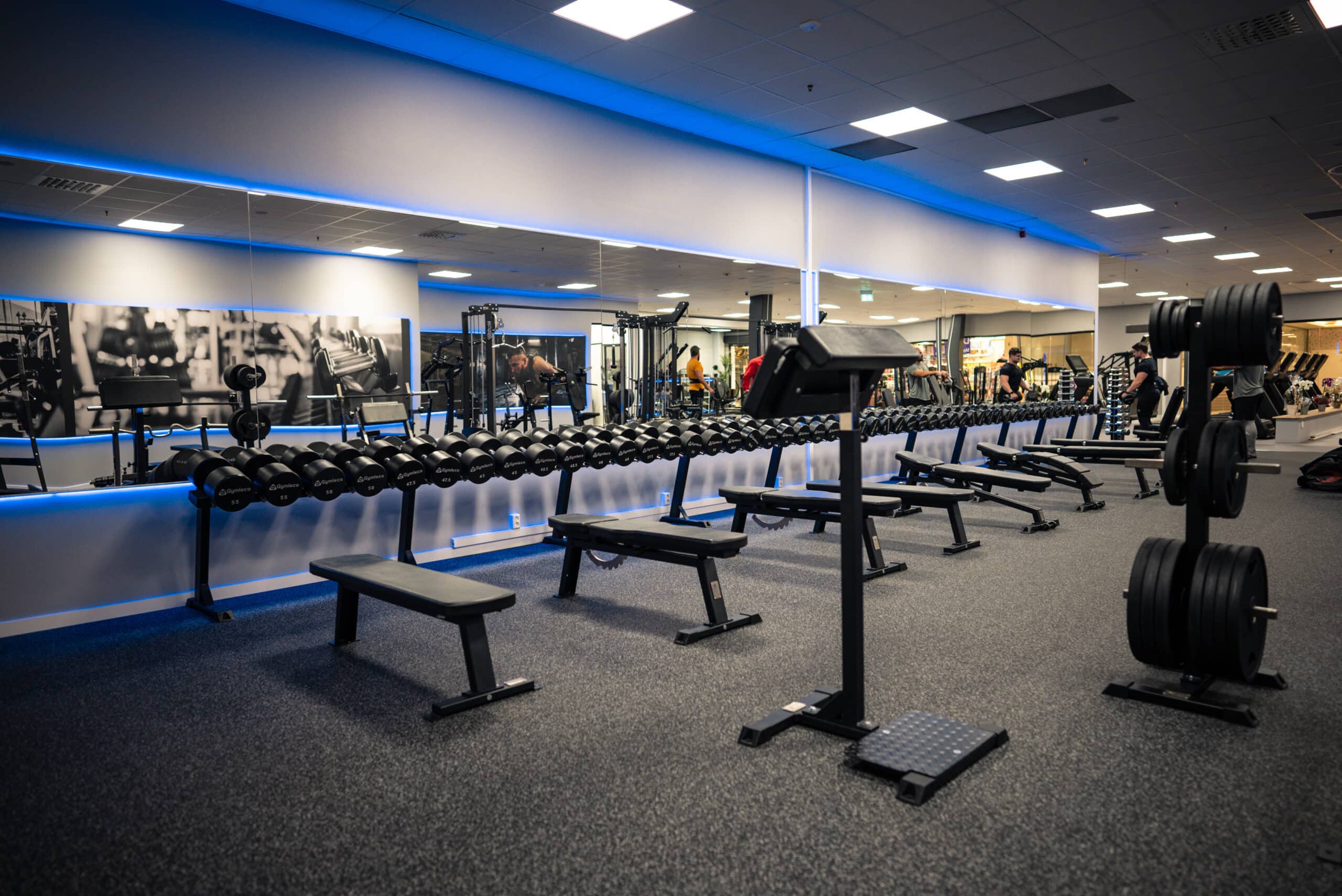 Gymleco Standing Scott Curl Bench preacher curl stående