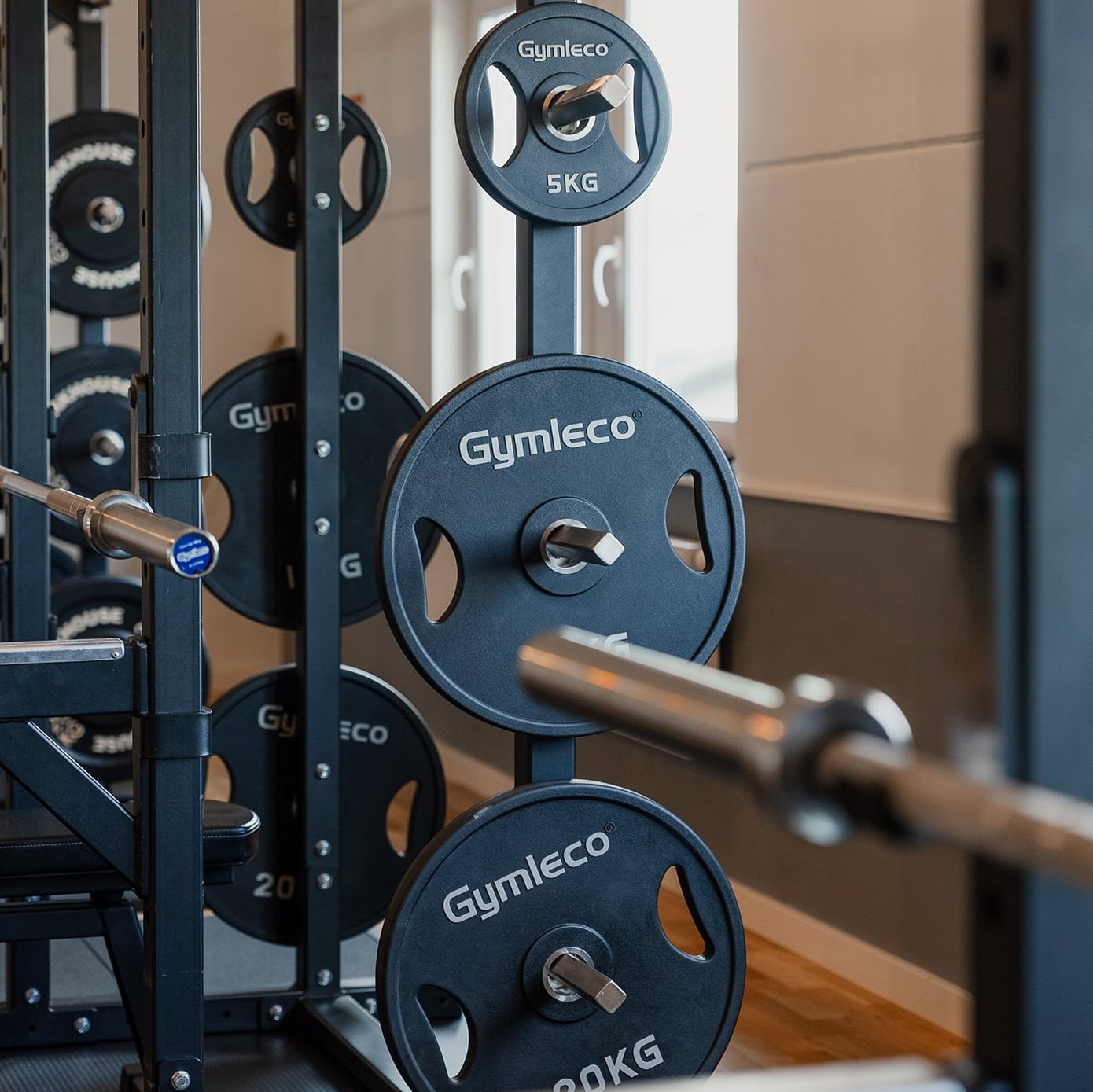 Gymleco vektskiver polyuretan med håndtak svarte