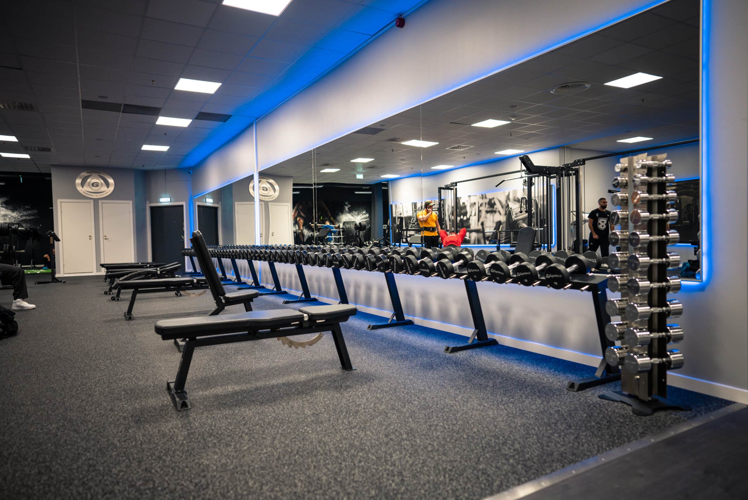 Gymleco Adjustable treningsbenk justerbar skraa flat