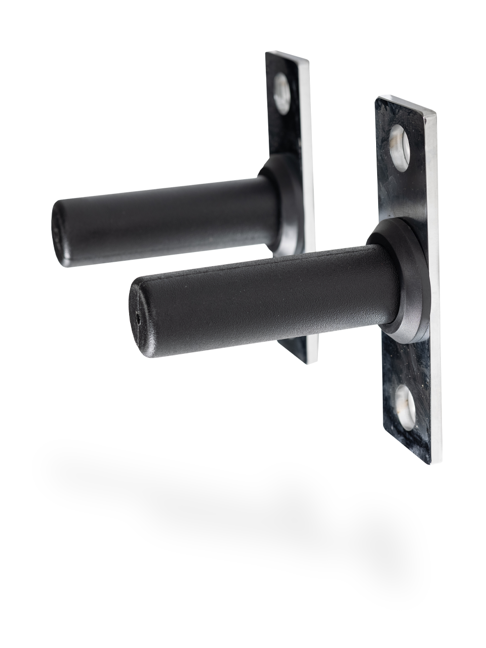 REP Fitness weight horns vektpinner til skiveoppbevaring rack