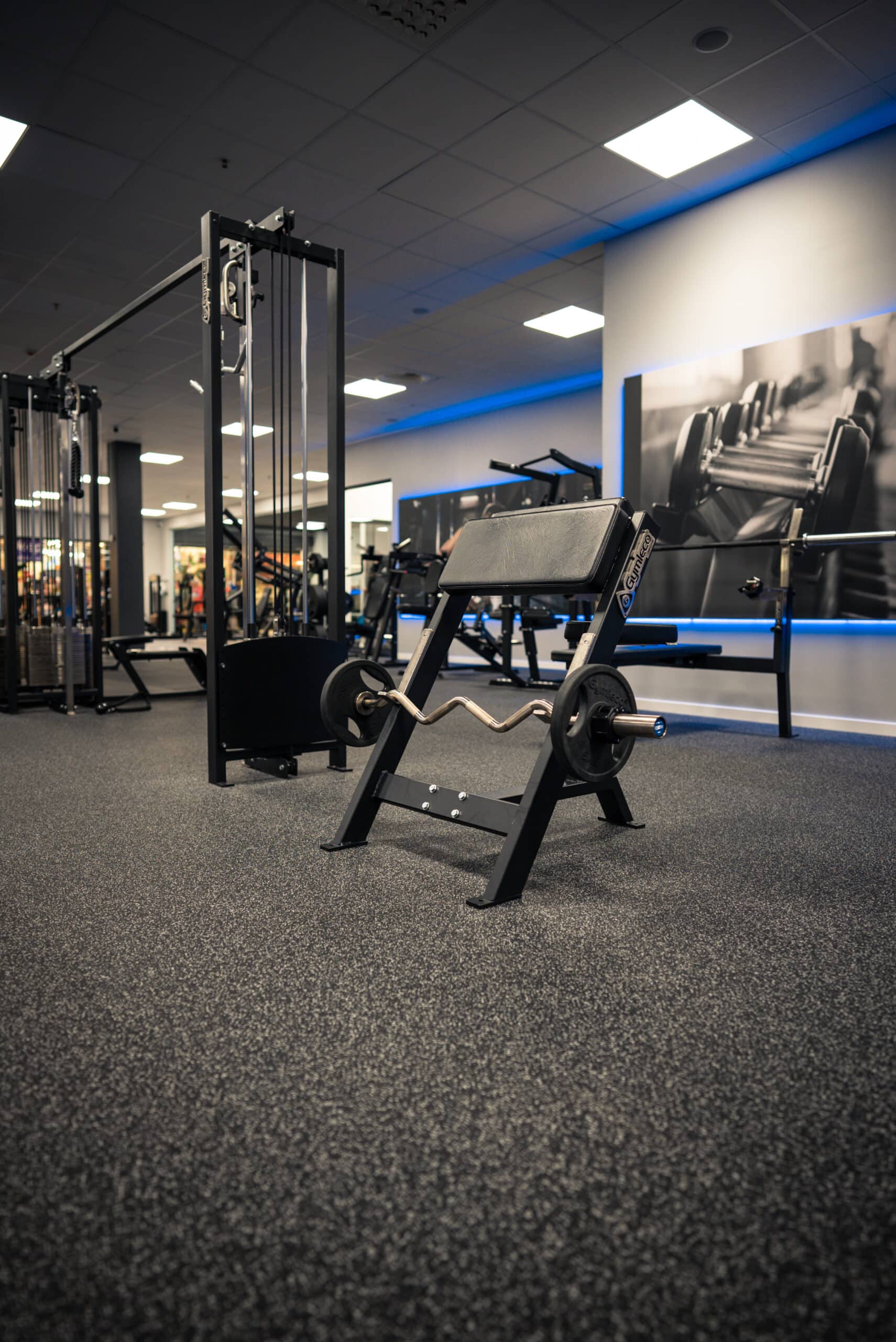 Gymleco scottbenk sittende bicepsbenk svart