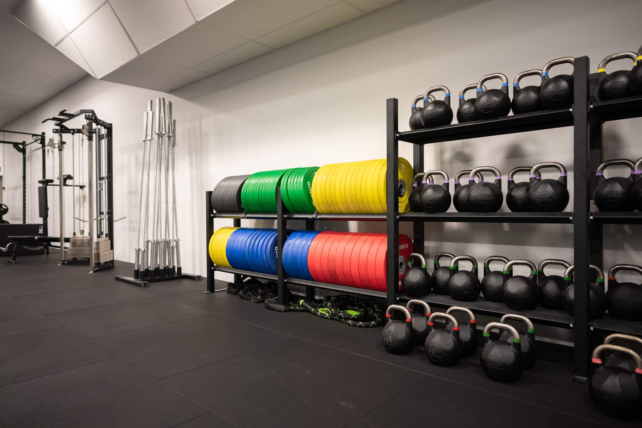 Gymleco Colored Weight Plates vektskive gummi 15 kg farget