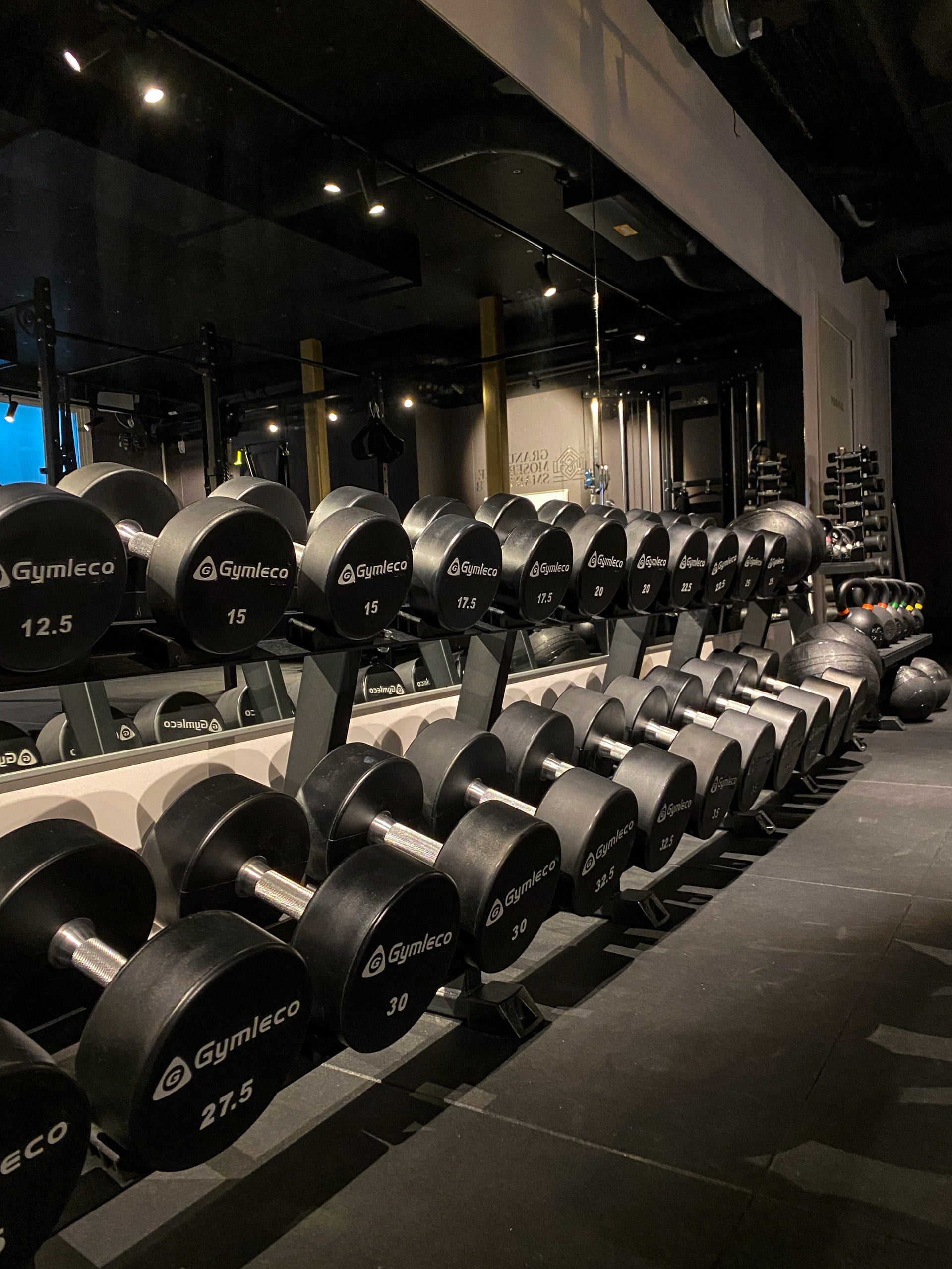 Gymleco Dumbbell Rack 10 Pairs manualstativ 2,3 m