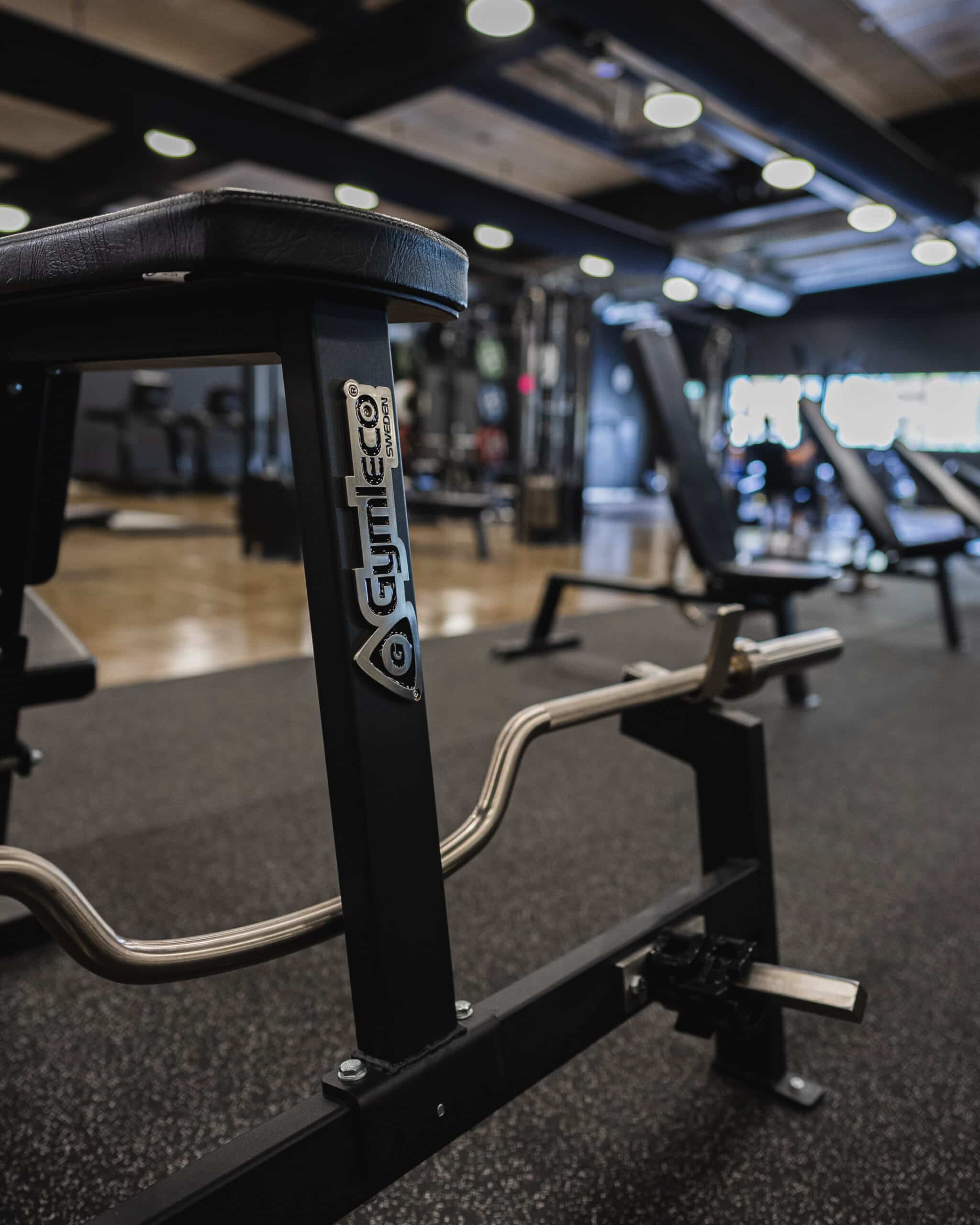 Gymleco 117 Seal Row treningsbenk rygg