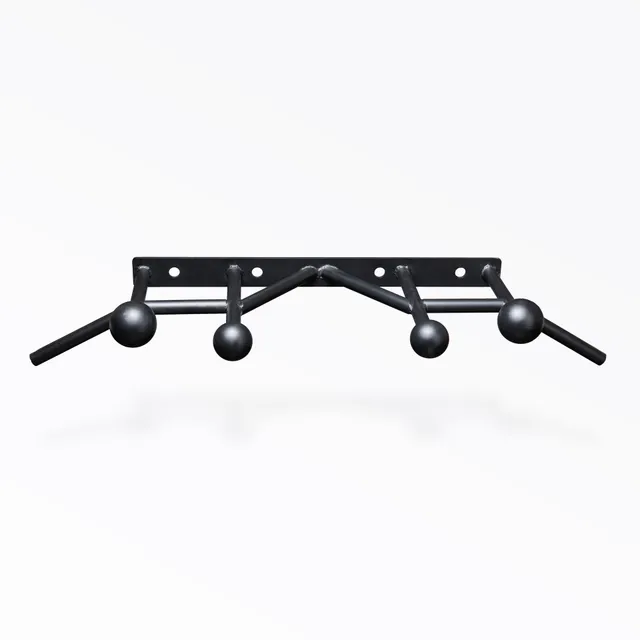 REP Fitness 5000 Globe Side Mount pullupstang