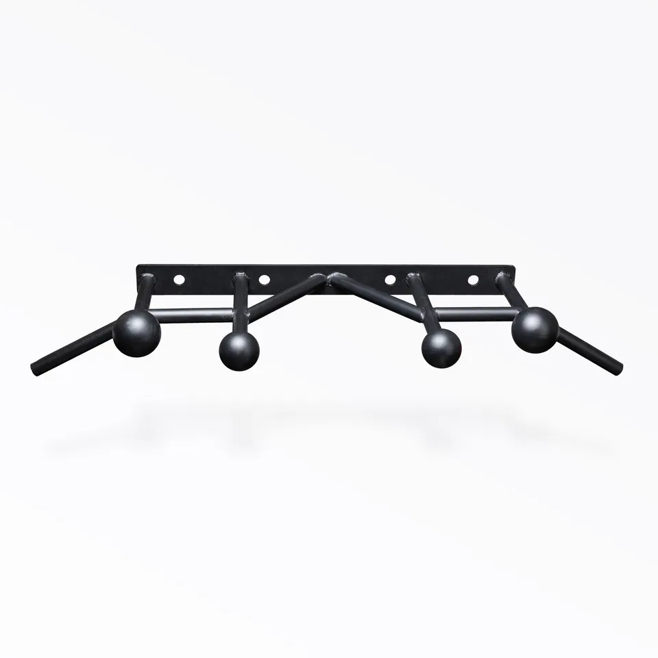 REP Fitness 5000 Globe Side Mount pullupstang