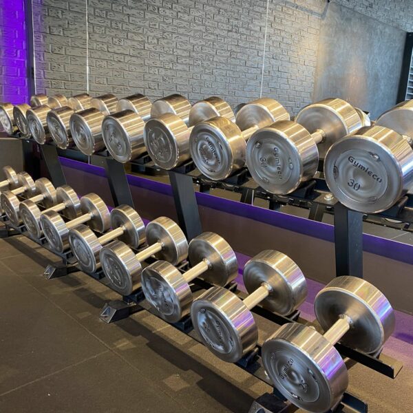 Gymleco Steel Dumbbells manualer stål 10–100 kg til tung trening